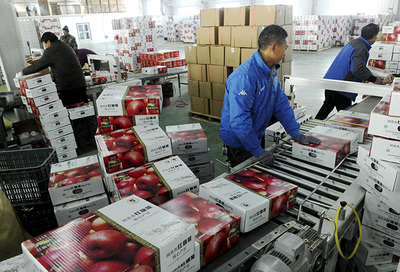 打通產(chǎn)銷“最后一公里” 國家林草局多措并舉破解林產(chǎn)品銷售難題