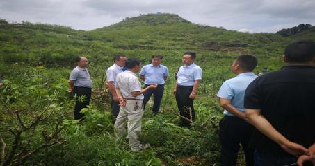 遵義市林業(yè)局 構(gòu)建綠色產(chǎn)業(yè)體系，推動林業(yè)產(chǎn)品銷售高質(zhì)量發(fā)展