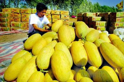 援疆風(fēng)采 步步高援疆行，架起湘吐共富橋