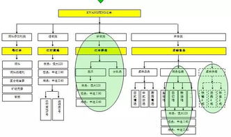 從養(yǎng)殖場(chǎng)到展示臺(tái) 中擂品牌策劃賦能江豐實(shí)業(yè)肉雞全產(chǎn)業(yè)鏈整合營銷